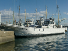オニカサゴ釣りプラン〜エサ・氷付き♪〜
