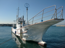 ヤリイカ釣りプラン