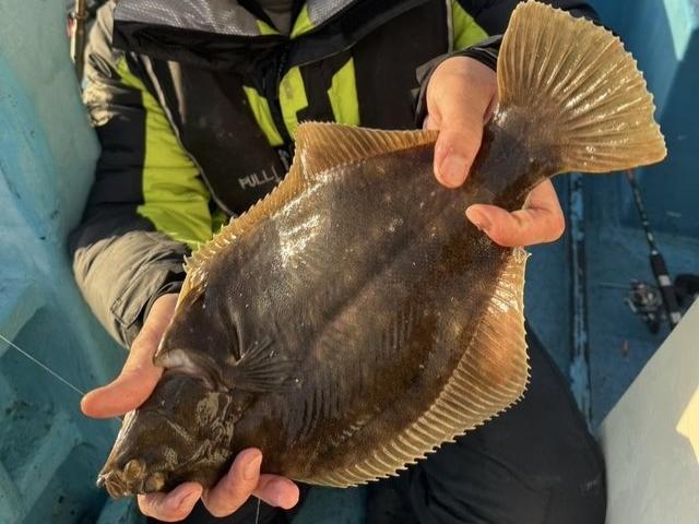 �ޥ����쥤���ץ����緿����