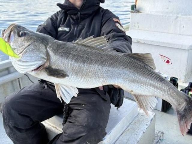 �����Х������󥰸������ץ��������Х������ʥ�������������������������������緿����