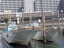 �����󥰡������Х����ץ���