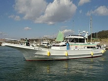 ◇午前◇エサ付き価格で千葉県最安値!!ひとつテンヤのマダイ釣りプラン(平日)※プラン詳細内容を必ず確認の上お申込み下さい※