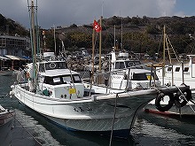 5名様以上はコチラ!午後アジ・サバ・アマダイ釣りプラン