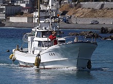 泳がせ釣りプラン