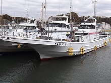 コマセで狙うカツオ&マグロ釣りプラン