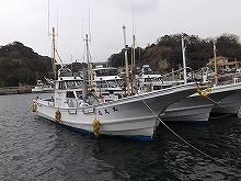 (平日)LT五目釣りプラン☆イサキなどライトジギングで狙います♪=船長おすすめ=