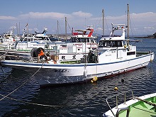 ◇土日祝8人からOK◇超有名ブランド♪走水アジ釣りプラン