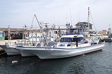 (土日祝)高級魚!!マゴチ釣りプラン