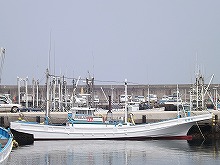 ◇平日◇ヤリイカ釣りプラン