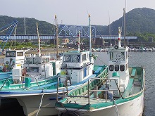 【8月〜】(平日)〈エギダコ〉マダコ釣りプラン