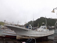【平日】氷付き!スルメイカ釣りプラン☆ご希望でコムツ・大アジからのリレーもできます♪日中出船なので釣ったイカは船上干し☆焼いて食べたら絶品!!