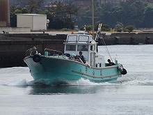 【平日】エギタコ釣りプラン
