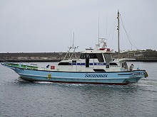 ����������Ĺ������������˥��������������ץ��