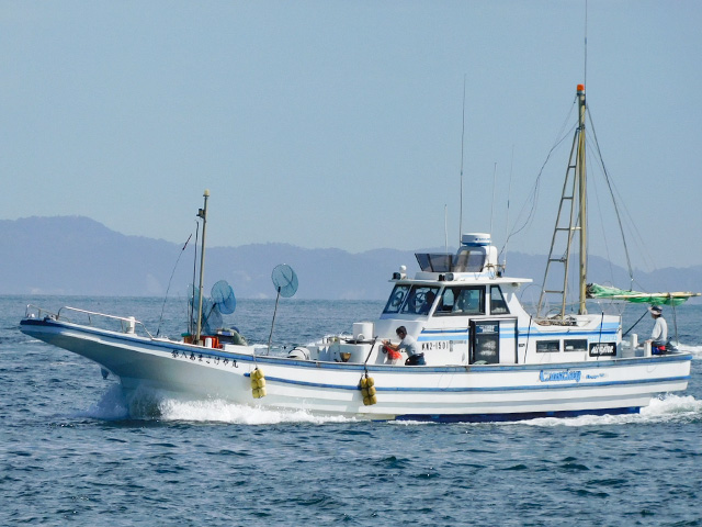 ウイリー五目釣りプラン