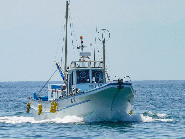 ★ティップラン★アオリイカ釣りプラン=経験者のみ受付=