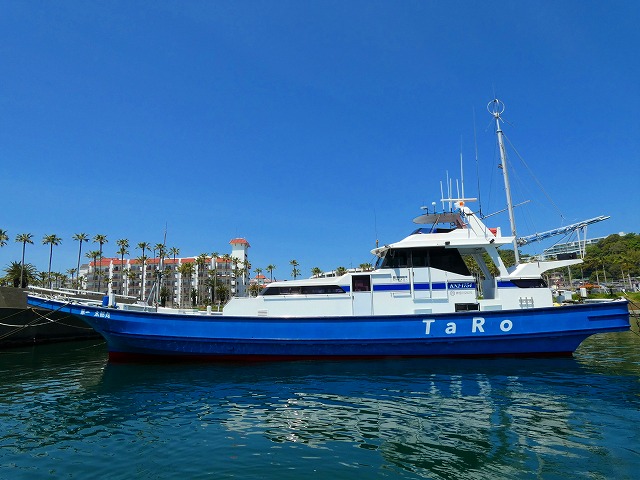 ☆土日祝10人から貸切☆アマダイ五目釣りプラン=季節の特産物付き&レンタル道具完備=