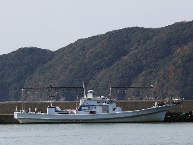 ��Ⱦ��÷���ڡ䥤�����祢�����ץ�� �ʥХ����󡢥�������OK���� 