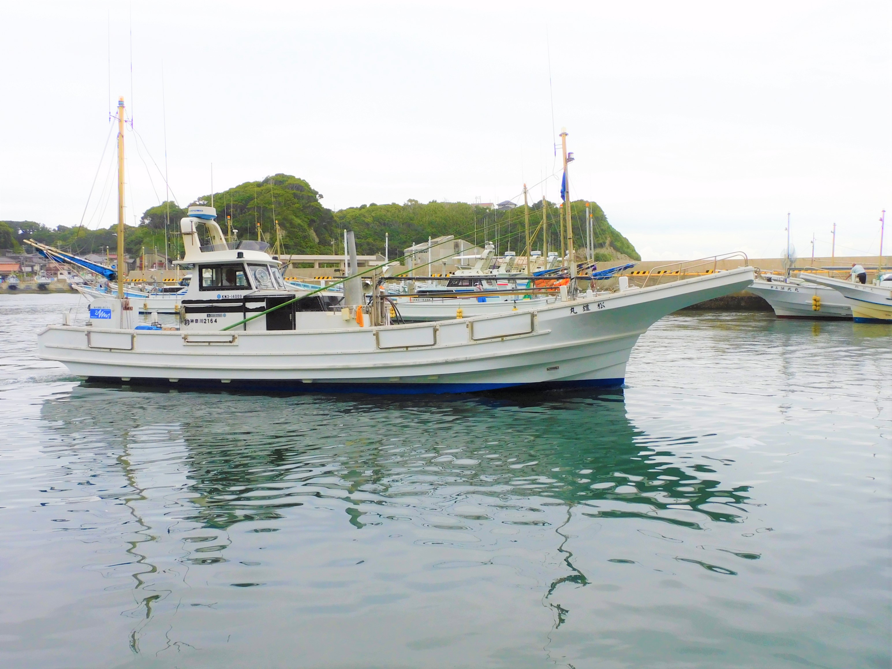 �ޥ륤�����ץ��