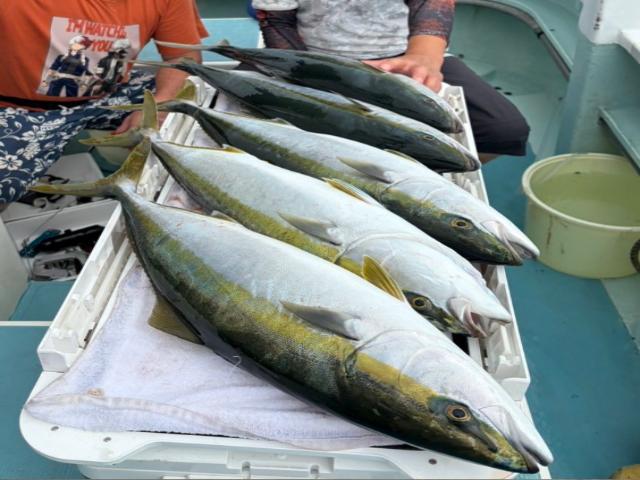 ★土日祝★ワラサ釣りプラン
