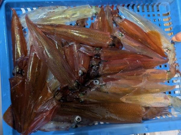 �����ء���ꥤ�����ץ��