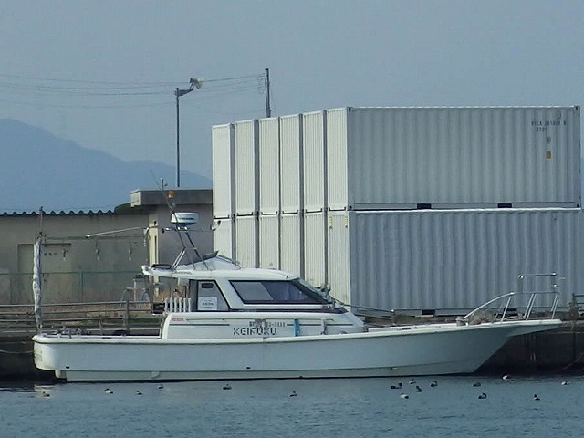 (夜便)マイカ釣りプラン(アジ狙い可能!イカタイ・イカメタルOK!)★船長おすすめ★