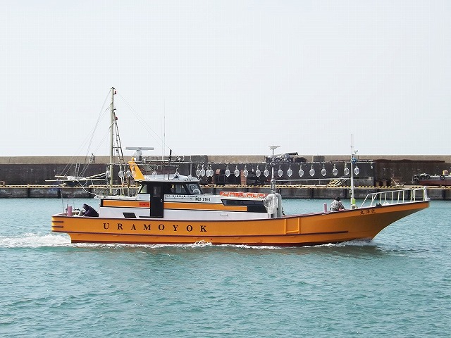 ●午後便●天秤根魚釣りプラン