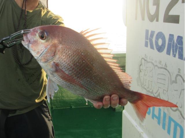 <午後>タイラバ釣りプラン