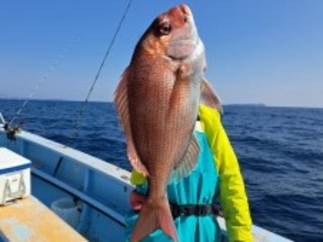 マダイ五目釣りプラン☆マダイをメインに様々なターゲットを狙います!☆3名以上で1,000円/人OFF!さらに仕掛けプレゼント☆