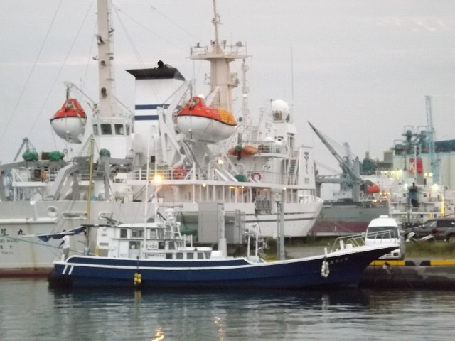 ����r���ץ���