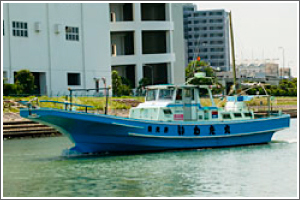 �������������ץ��