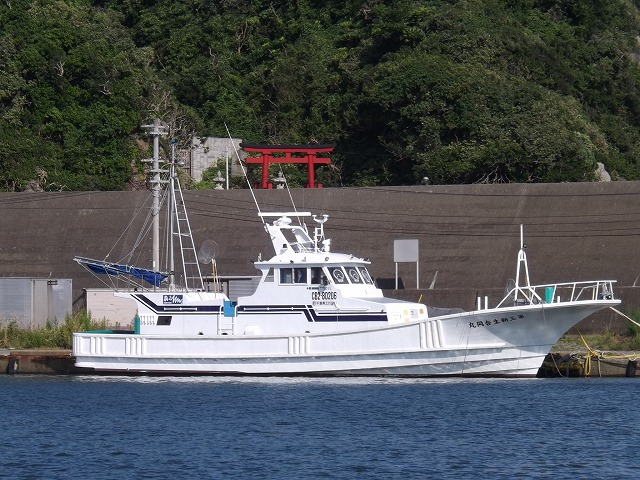 ☆午前☆スルメイカ(orヤリイカ)釣りプラン