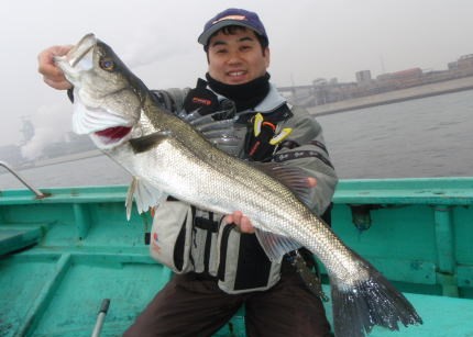 ★午後便★青物イナダ・サワラ☆釣りプラン=乗船人数に応じて割増有=