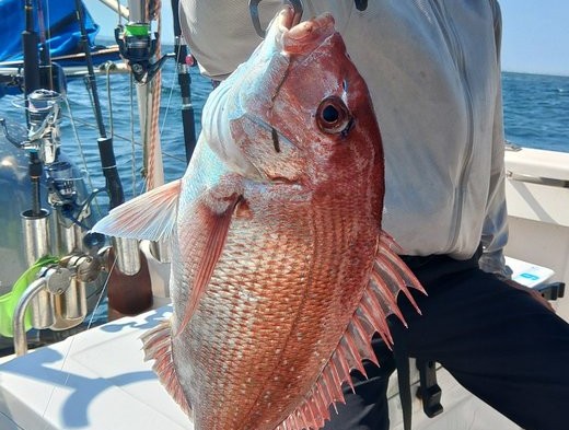 ��4����ա�1���ء�����������ץ��ʥ�����С������ꥤ������󥴥���������饵�������Х��ˡ������Ϳ��˱�����������ư����