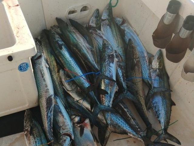 ��4����ա�1���ء�����������ץ�����ʪ�ˡ������Ϳ��˱�����������ư����