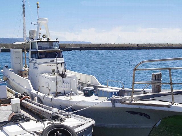 ��ʿ���ˡ��������ᡪ�����������ץ��