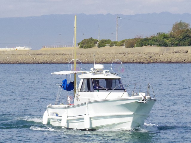 �ڡ�ǯ��ǯ�����̥ץ����ۥ��硼���إ���������ץ��