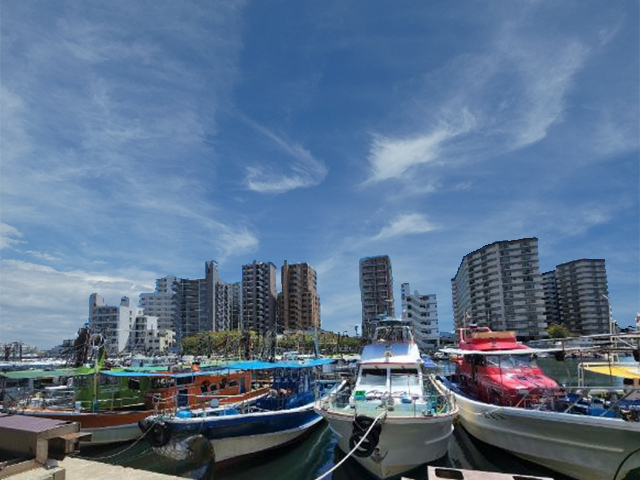 ◆土日祝◆朝便│アオリイカ釣りプラン