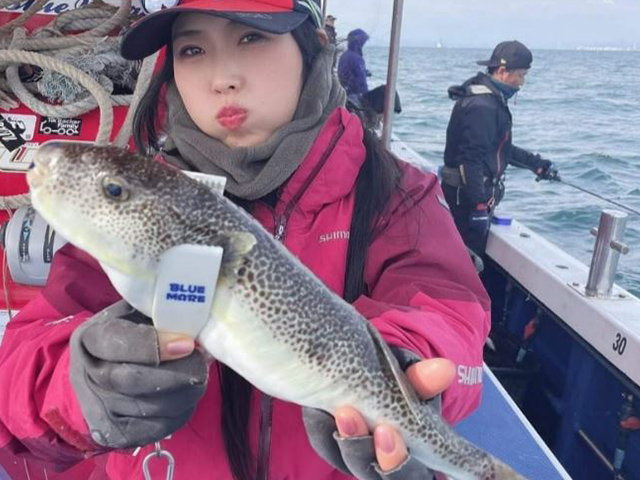 ◆土日祝◆フグ&タイラバのリレー釣りプラン