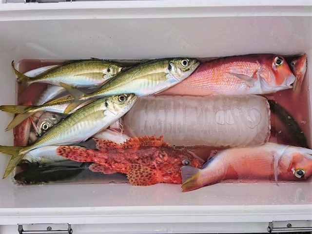 LTアジ〜アマダイのリレー釣りプラン
