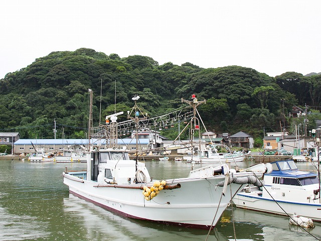 夜焚きイカ釣りプラン★釣り場により料金変動あり!★