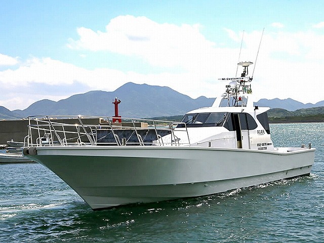 夜焚きイカ釣りプラン