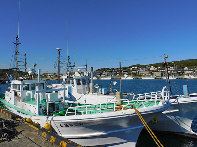 ���ޥ������ץ�����������