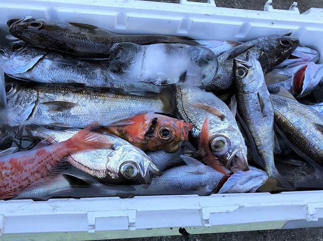 午後便 中深場五目釣りプラン狙うは キンメダイ アカムツ クロムツ 3大高級魚 他にも豪華な顔ぶれで贅沢三昧 予約プラン詳細 海釣り 釣り船 予約サイト キャスティング釣り船予約