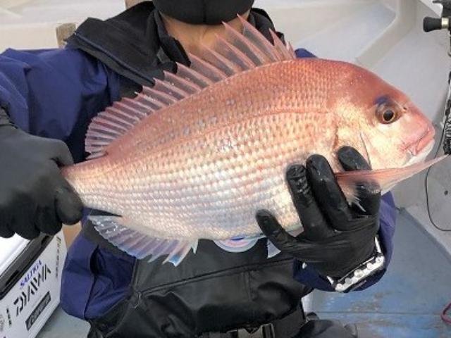 ��1����ۡ����ˡ������ա��������åȤ�ͳ���������롪���������ץ��ڸ���ء�