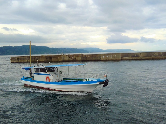 ��������С��������ӥ����ץ���