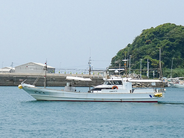 沖の五目釣りプラン