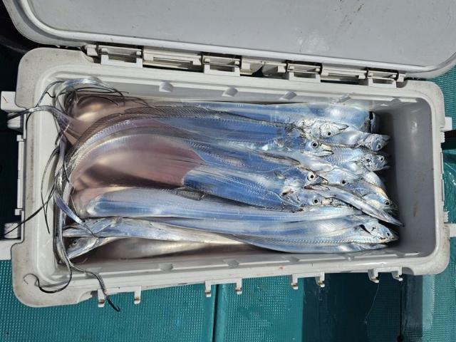 ���������ء������ء������������ץ��ʥ����󥰲ġ�