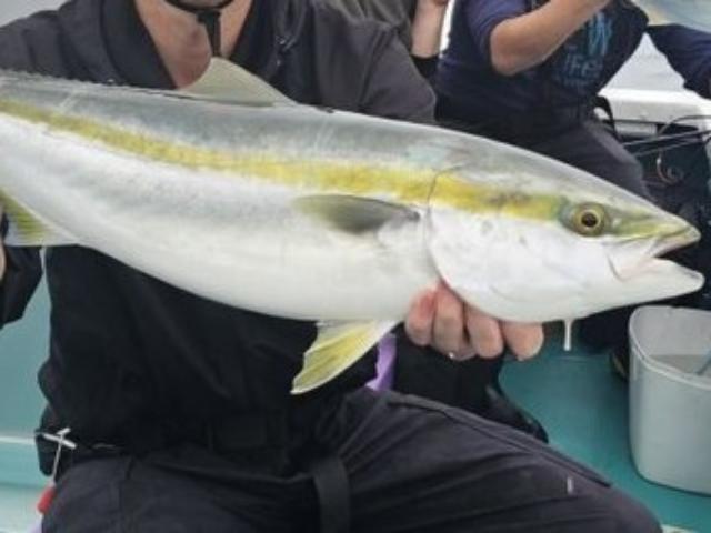 ���������ء������ء��Τޤ����ץ��