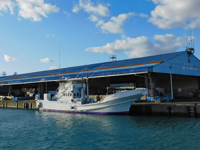 ��ƥ��åץ��䥢���ꥤ�����ץ��