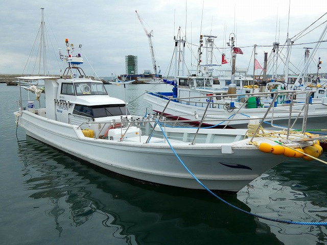 マダイ・青物リレー釣りプラン